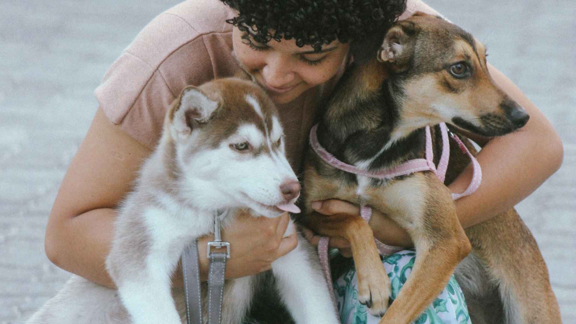dos perritas con su humana patitasco